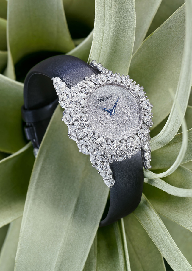    Chopard Green Carpet