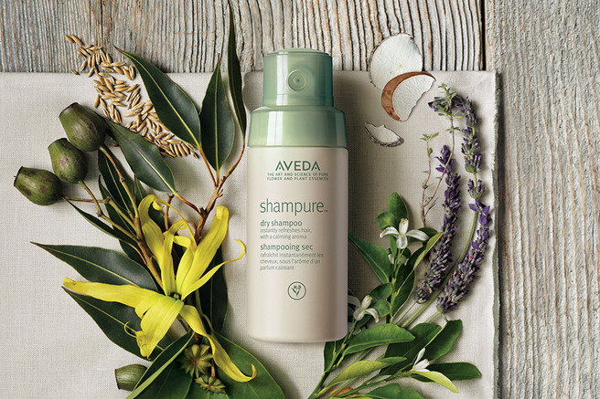    :    Aveda    Shampure Dry Shampoo