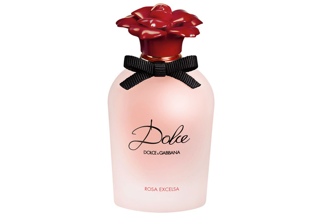      Dolce Rosa Excelsa